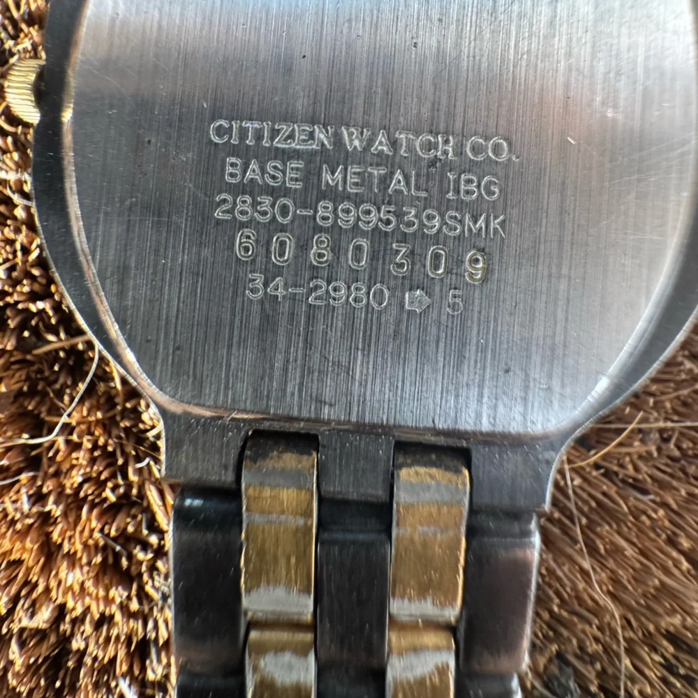 Citizen Two-Tone Metal Watch